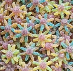 Mini Octopus 100 Gr