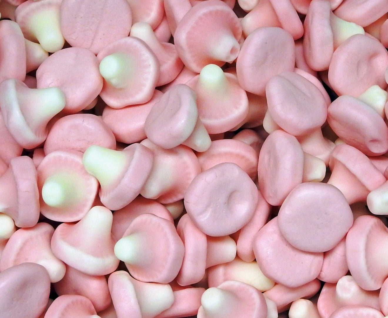 Champignons 100g