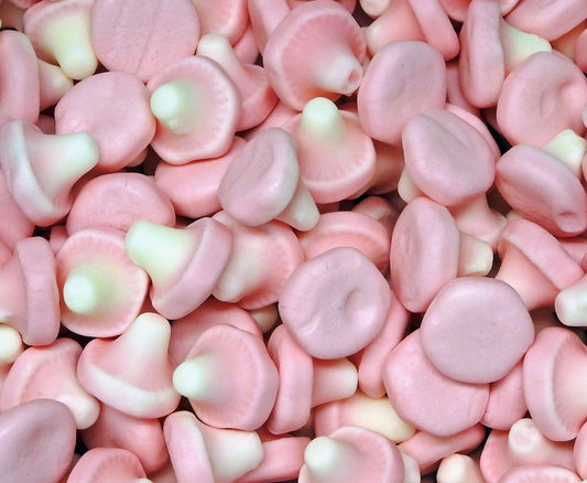 Champignons 100g