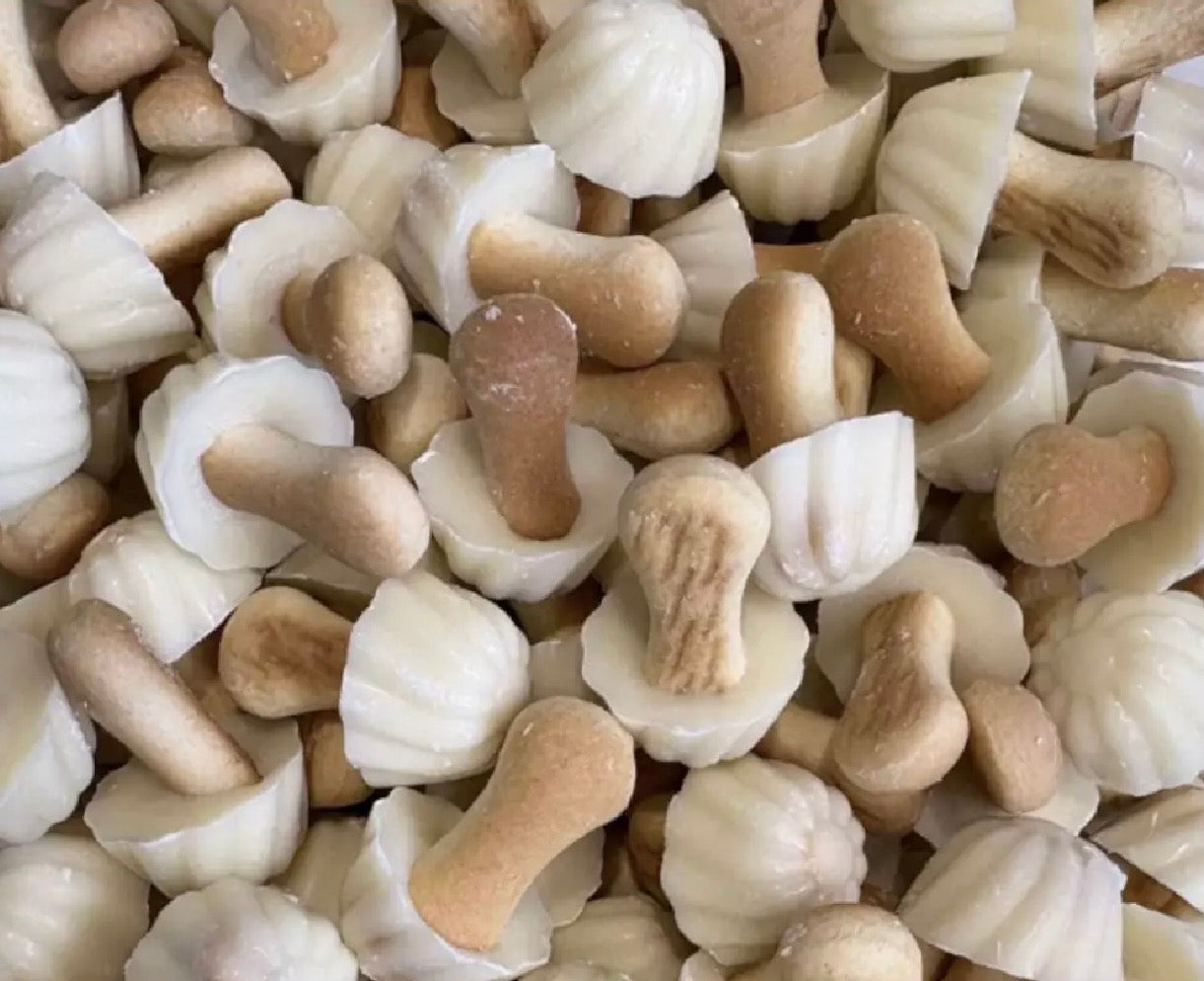 Champignons Chocolat Blanc (lot de 10)