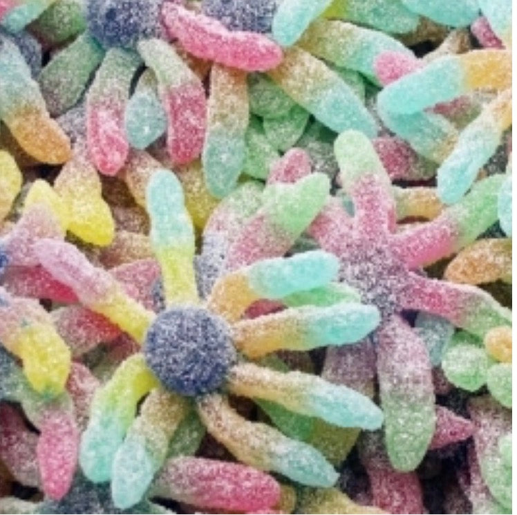 Octopus acide 100g